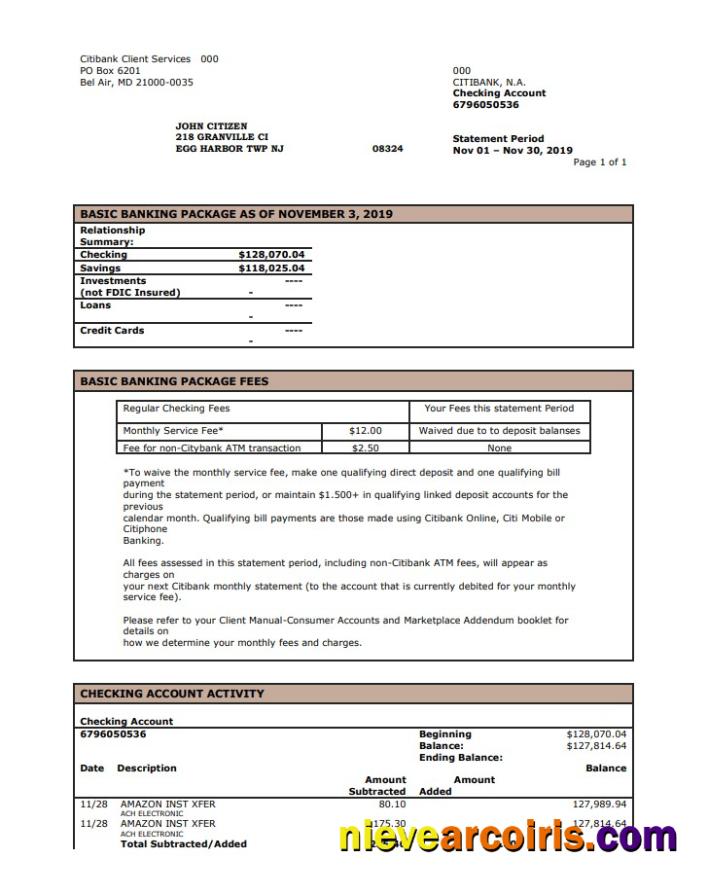USA City Bank statement in Word and PDF format